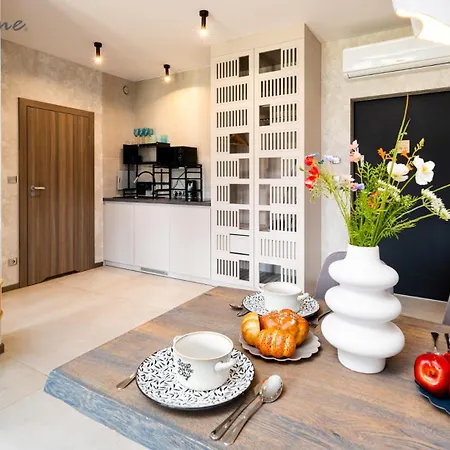 Daire Wonder Hill - Apartamenty Z Balkonami Lub Tarasami, Klimatyzowane, Z Pieknym Widokiem Na Gory Sosnówka